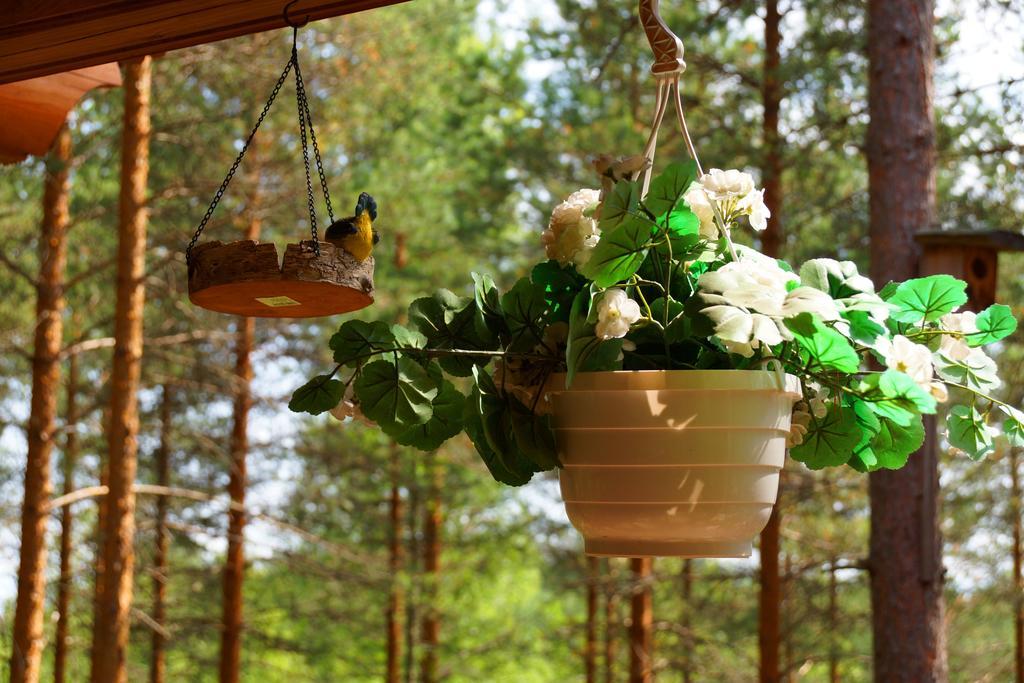 Kettu Holl Cottage Taipalsaari Exterior foto